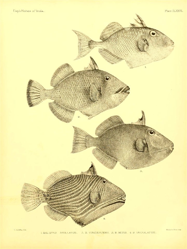n370_w1150