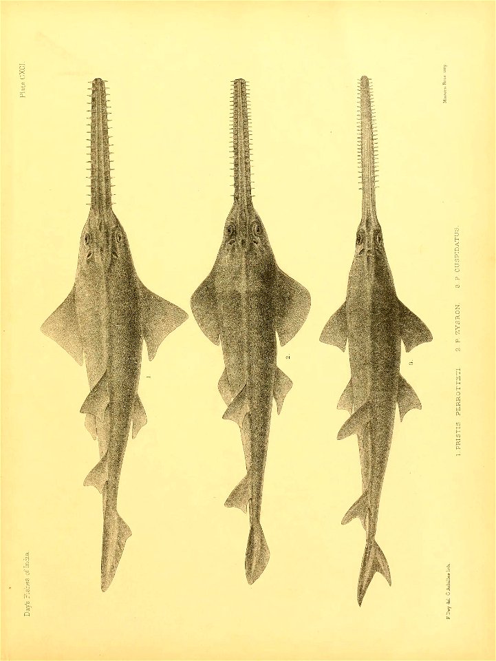 n398_w1150