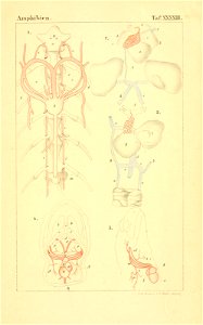 n914_w1150