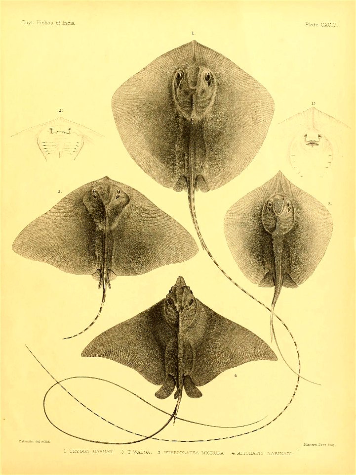 n404_w1150