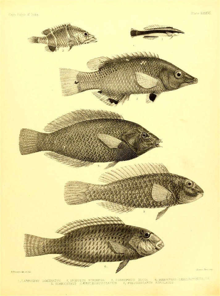 n192_w1150