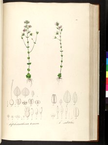 n177_w1150