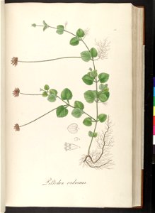 n117_w1150