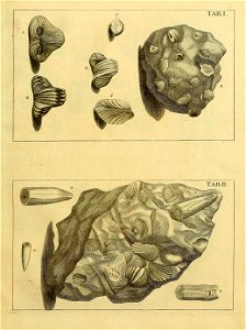 n178_w1150
