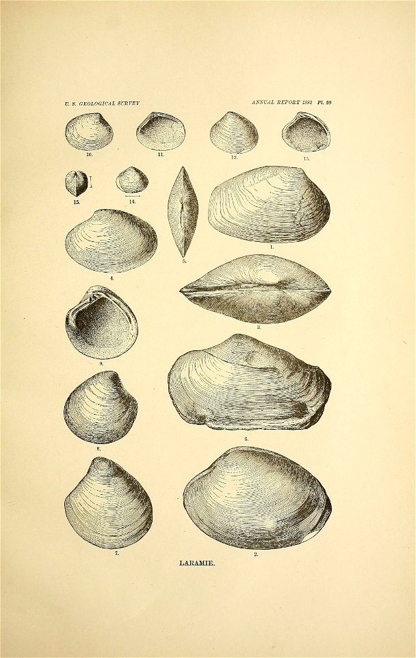 n162_w1150