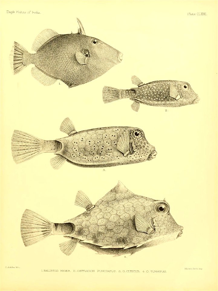 n378_w1150