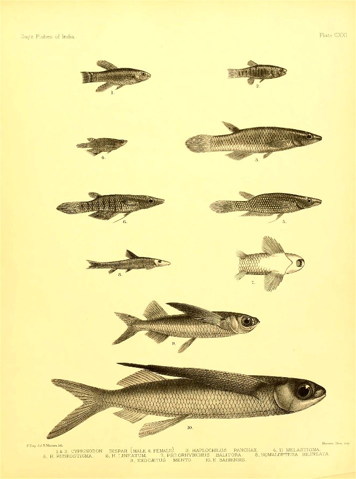 n258_w1150