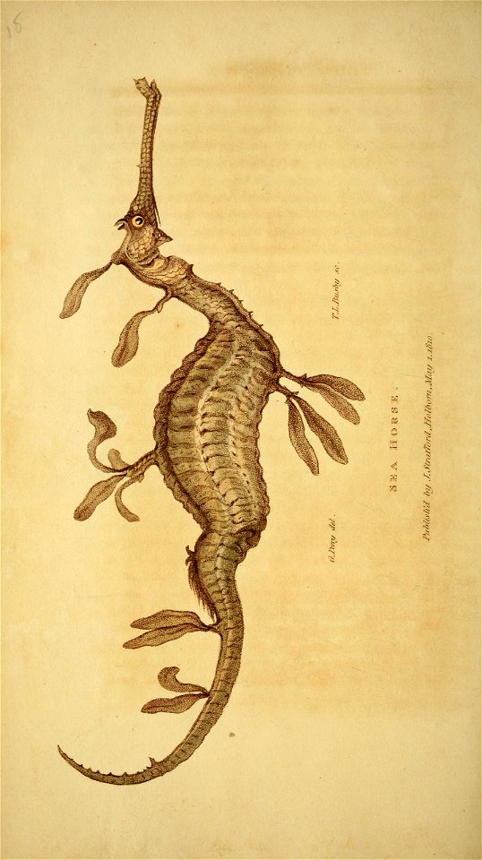 n111_w1150