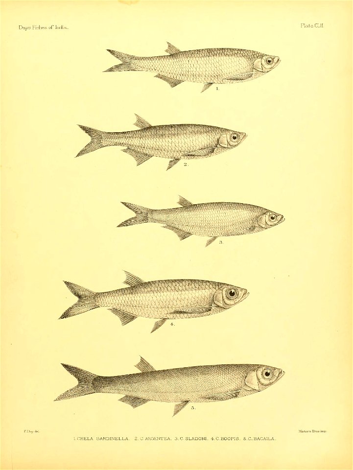 n320_w1150