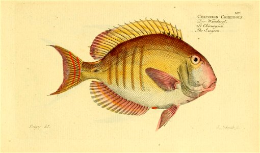 n414_w1150