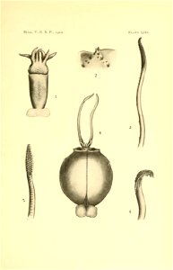 n132_w1150