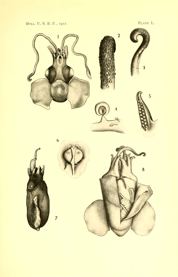 n126_w1150