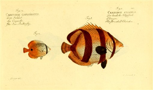 n408_w1150