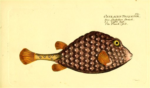 n258_w1150