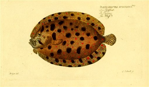n376_w1150