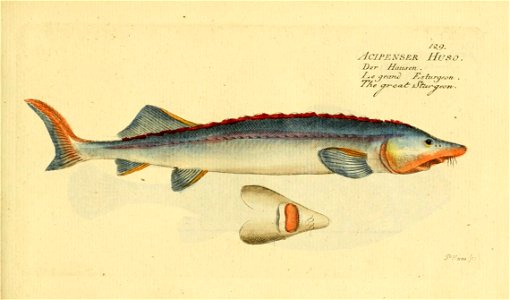 n256_w1150