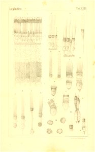 n834_w1150