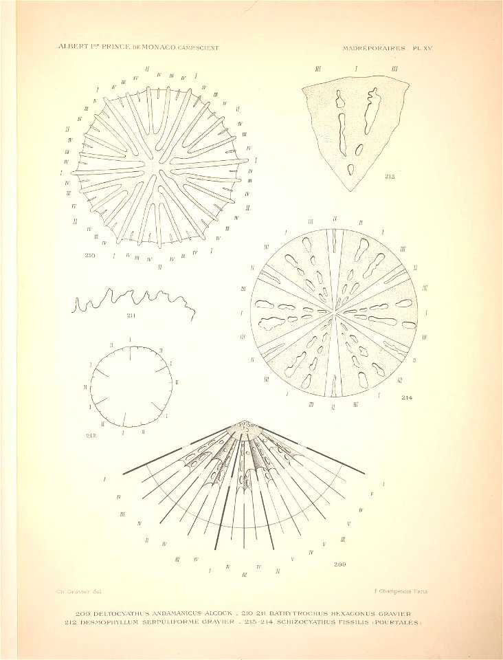 n134_w1150
