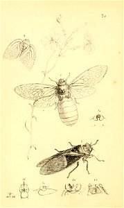 n145_w1150