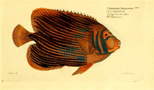 n386_w1150