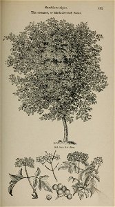 n184_w1150
