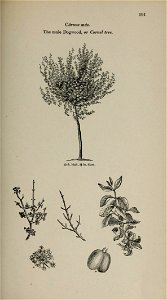 n182_w1150