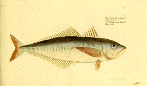 n112_w1150
