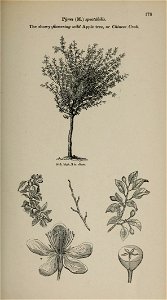 n156_w1150