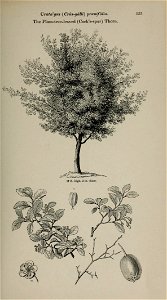 n62_w1150