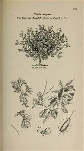 n192_w1150
