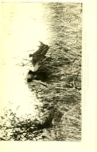 n542_w1150