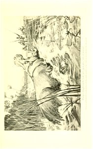 n268_w1150