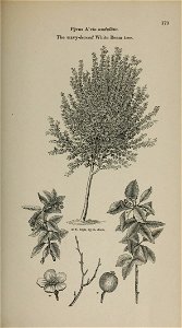 n158_w1150