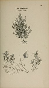n68_w1150