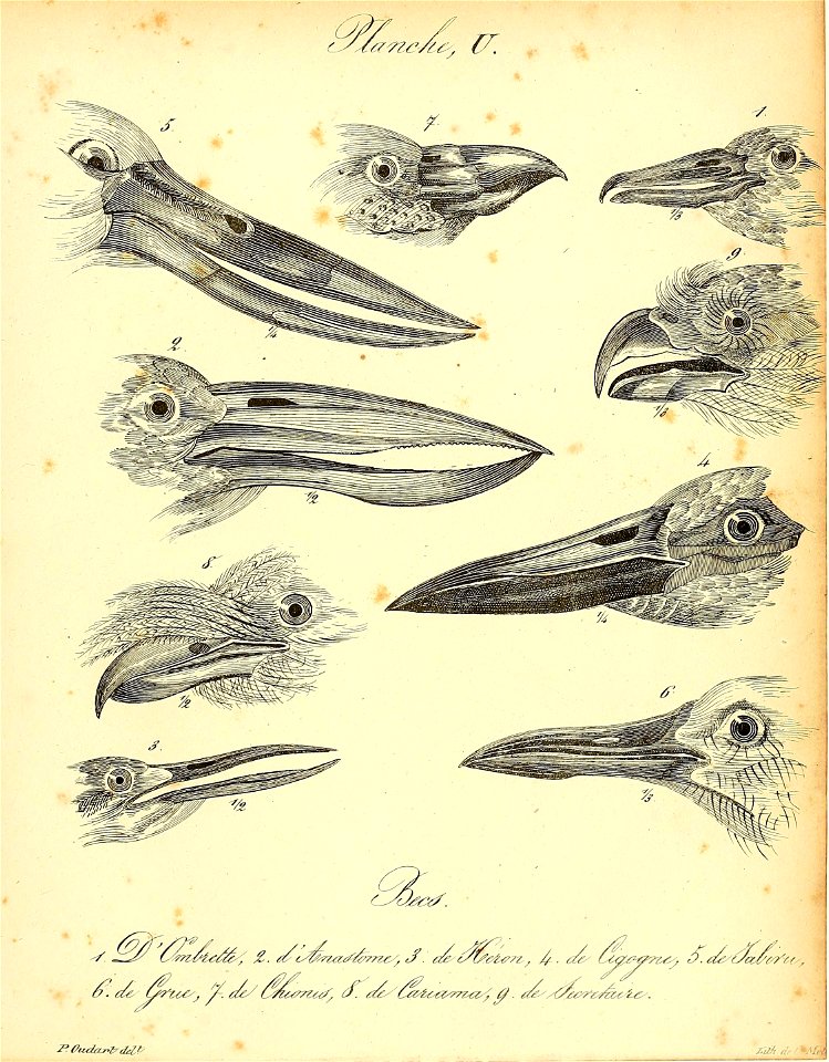 n508_w1150