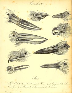 n508_w1150