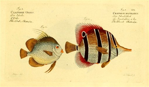 n402_w1150