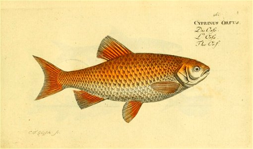 n192_w1150