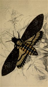 n170_w1150
