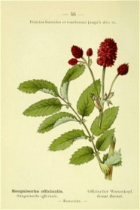 n115_w1150