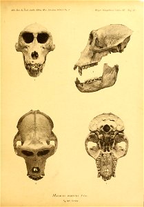 5985196406_7c6bc195d9_o
