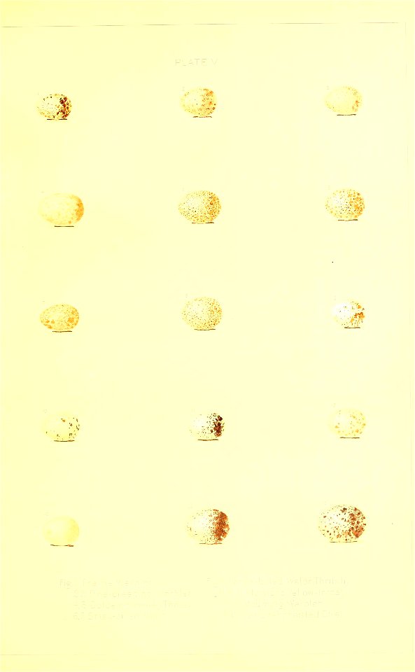 n40_w1150