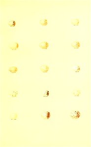 n40_w1150