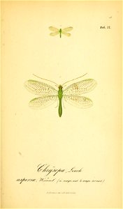 n256_w1150
