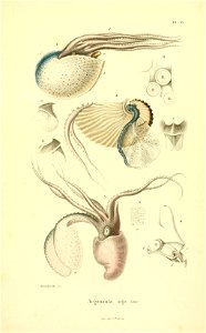 n16_w1150