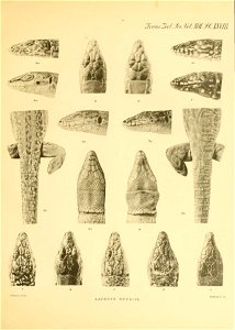 n106_w1150