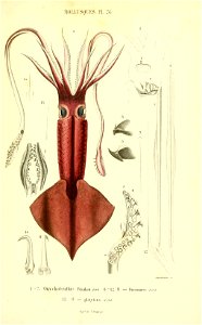 n56_w1150