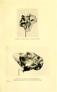 n166_w1150