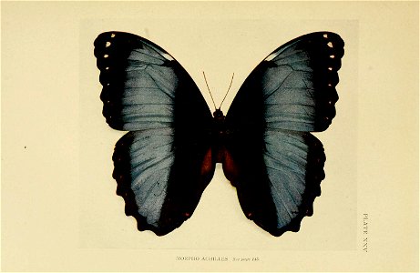 n214_w1150