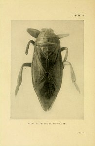 n145_w1150
